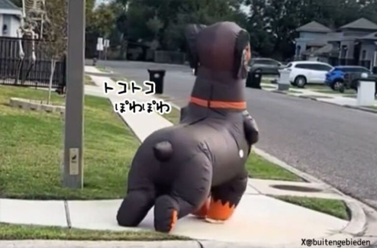 巨大な犬が小さな犬に連れられて歩道を散歩しているだと？このトリックがわかるかな？