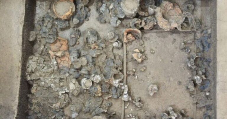 中国初期の王のものか？　河南省で5000年前の墓が発見される