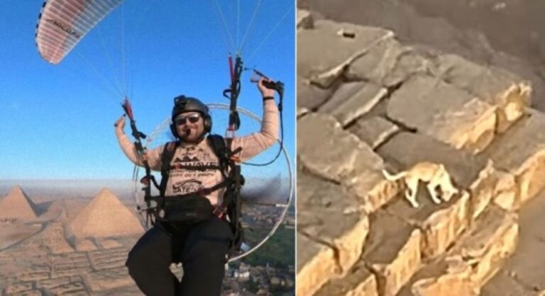 ピラミットの頂上にイ、イヌ？パラグライダーが目を疑った驚きの光景