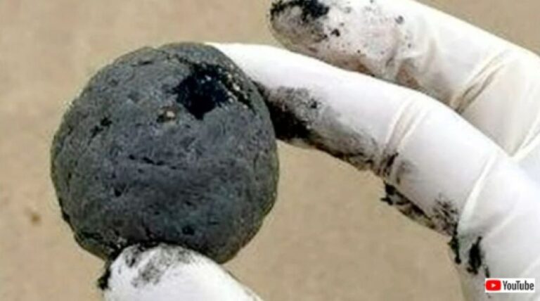 オーストラリアの海岸に打ち上げられた謎の黒い球体の正体が判明