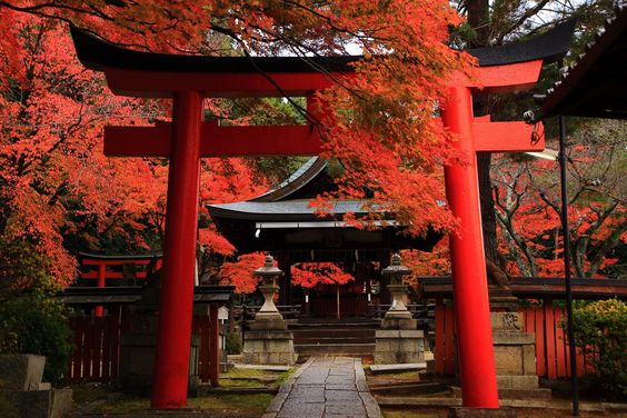外国人女性、日本の鳥居で◯◯してしまう・・・