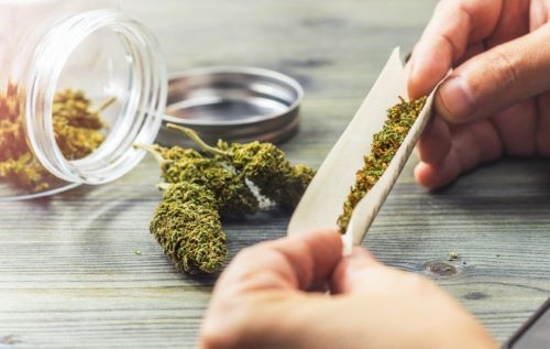 喫茶店にて煙草巻き中、おじさんに絡まれ「お兄さんそれ大麻でしょ！おいマスター！」→直後ヤバすぎる一言を放つｗｗｗｗｗ