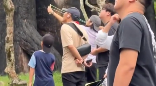 【動画】中国人観光客さん、動物園で狩りを始めてしまう・・・