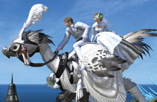 FF14の出会い厨さん、公式サイトで「リアル女性判別方法」という日記を投稿し大炎上 → 10日間のアカウント停止処分を食らい謝罪