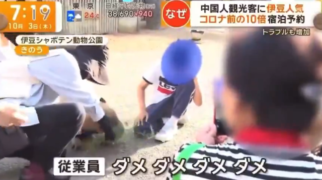 【動画】中国人観光客、鹿に限らずカピバラに異物（洗濯バサミ）を食べさせてしまう…