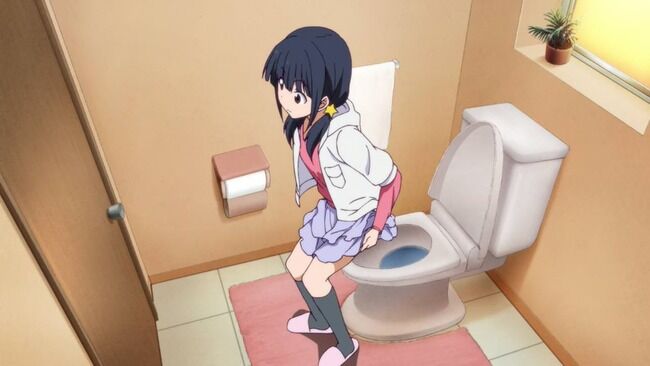 お客さん「ボットン便所を水洗にしたいです」 トイレ業者「どれどれ・・・」→中からとんでもないものが見つかるｗｗｗｗ