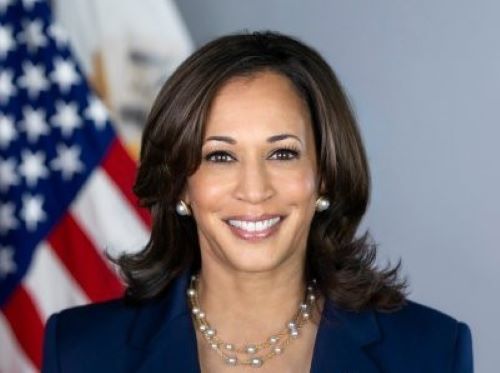 【悲報】カマラ・ハリス米副大統領の演説中にカンペが壊れる→本人まで壊れてしまう