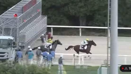 【珍事】出走取り消しが相次いでたった2頭での競馬開催！！ 喋ることなさ過ぎて実況がとった行動とは
