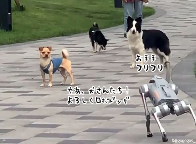 仲間？なんか違うぞ？犬に挨拶をするも、警戒警報を発令されてしまう犬型ロボット