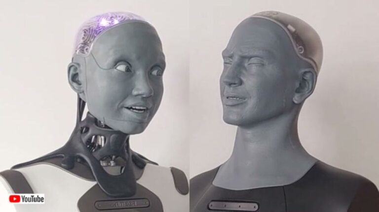 進化したヒューマノイドロボット同士が会話するんだけど、不気味の谷はどうなった？