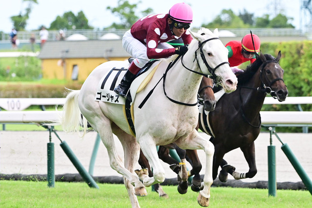綺麗な白馬で人気の競走馬・ゴージャスちゃん。しっかりゴルシの血を受け継いだ超出遅れを披露