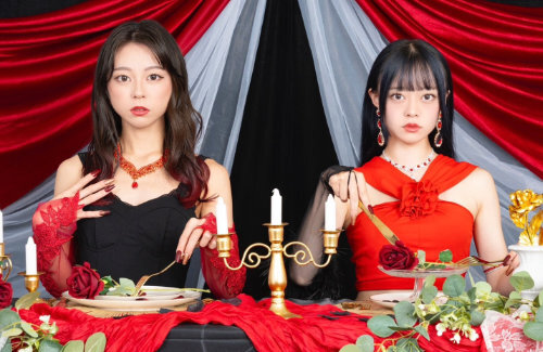 2人組ガールズユニット『FleuR』メンバーが脱退を発表 → 母親が経緯を説明するもその内容に物議「私達家族はもう応援できない」