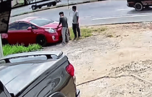 バンバンしてもこれは無理ゲー。赤い車のエンジンルームに潜んでいた驚きの生物は？