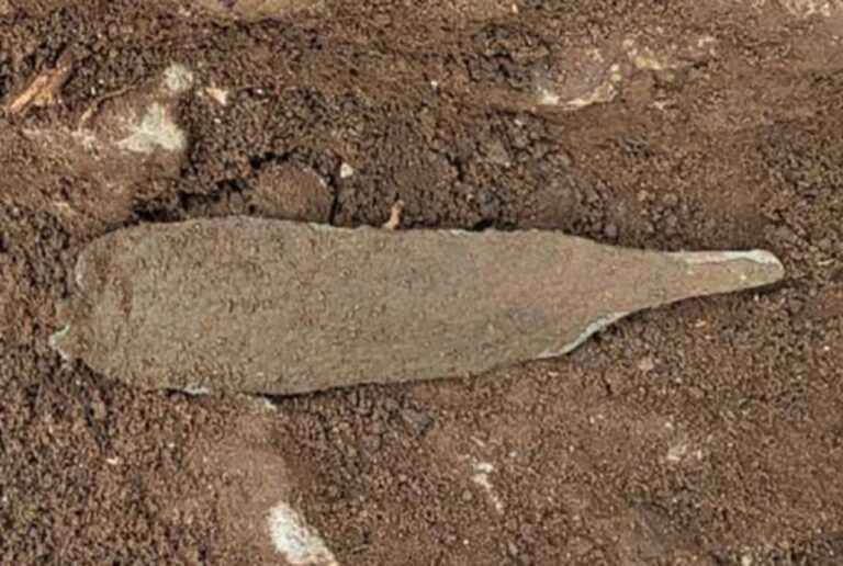 4000年前の銅の短剣と頭蓋骨の破片がイタリアの洞窟の奥から発見される