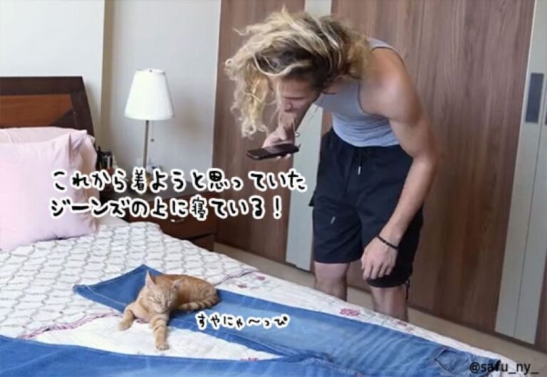 猫飼いあるあるのある。くつろいでいる猫は絶対に邪魔したくない。で、こうなった