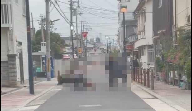 【動画】車の運転中、イッヌが路上で暴走し足止めされる→その光景が最高すぎて30万いいね超えｗｗｗｗｗ