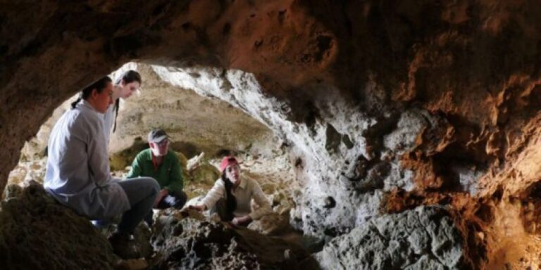 シチリア島の水中洞窟で初期人類、ホモ・サピエンスの移住の手がかりが発見される