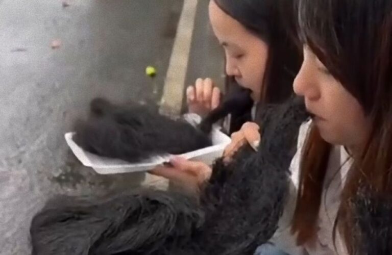 まるで黒い髪の毛を食べているかのよう。中国でトレンドとなっている屋台フードの正体は？