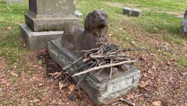 100年以上前に亡くなった犬のお墓には花の代わりに大量の枝が捧げられ続けている