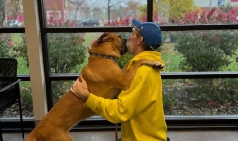 がんが悪化し愛犬を手放さなければならなかった飼い主が、病気を克服して迎えに行く