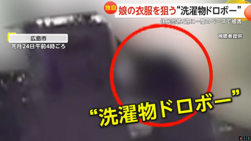 泥棒「ﾊｧﾊｧ・・・女子中学生の服、盗んじゃお・・・」→勘違いして○○を盗んで終わる