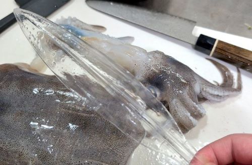 X民「マイクロプラスチックを食べたイカは体内からコレが出てくる」ﾊﾟｼｬｯ→コミュニティノートにてネタツイかどうかでレスバ勃発ｗｗｗｗｗｗ