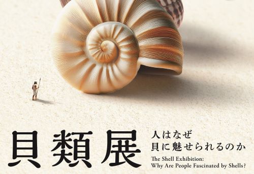 国立科学博物館「AIを活用し貝類の世界観を表現しました！」→反AIも入り交じり博物館とはなんなのか物議を醸す