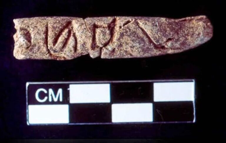 シリアで発見された円筒形遺物に最古のアルファベット文字、歴史が書き換わる可能性