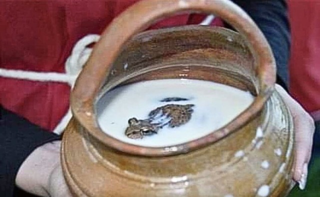 なんでか知らんけど昔のロシア人は牛乳に蛙を入れて保存していたって話