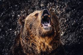 【攻略法】クマに3度襲われて尚生きてる男性「熊の初手は〇〇が多い」