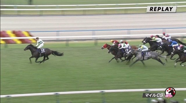 【動画】競馬・マイルCSで勝てたのが嬉しすぎる団野大成騎手、ゴールする前に渾身のガッツポーズで罰金ｗｗｗｗ