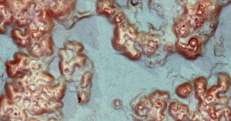 マヤ文明の失われた巨大都市を発見、7000近くの建造物がユカタン半島に隠されていた