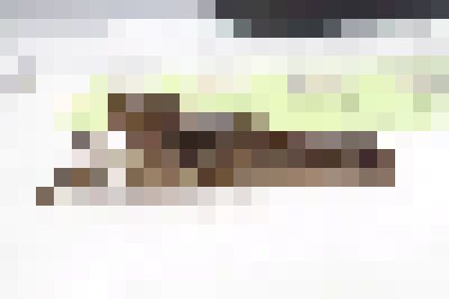 【エイリアン】沖縄に悪夢のような外来種が定着した可能性・・・環境省がガチで通報呼びかけ