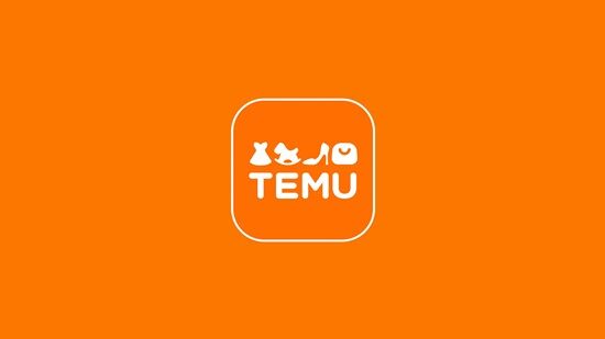 通販サイト『Temu』、めちゃくちゃヤバかった・・・