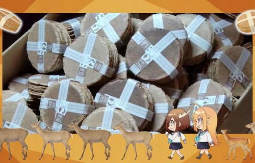 【画像】「鹿せんべいの自販機、なぜか異様に口コミが悪いので試しに買ってみた…あっ」　→　出てきたモノを見た瞬間に全ての理由を察した話ｗｗｗ　これは低評価不可避ｗｗｗｗ