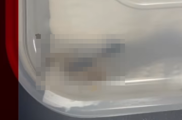 大学生「中国の格安通販サイトSHEINで買ったブーツが届いた！」ﾊﾟｶｯ → ヤバすぎる物が届いて絶句・・・