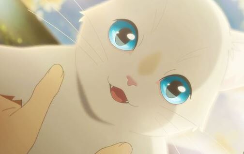 反社が犬・猫好きをアピールする理由がエグすぎた