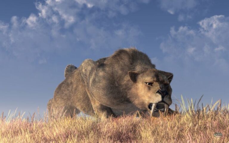 シベリアの永久凍土から保存状態の良い絶滅種、サーベルタイガーの幼獣が発見される
