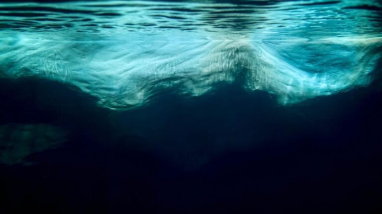 南極の極限環境下の湖で、未知の生態系が発見される