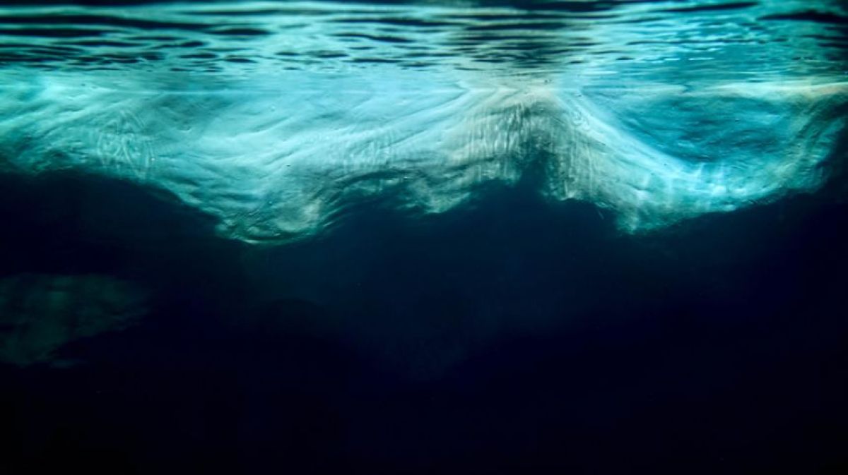 南極の極限環境下の湖で、未知の生態系が発見される