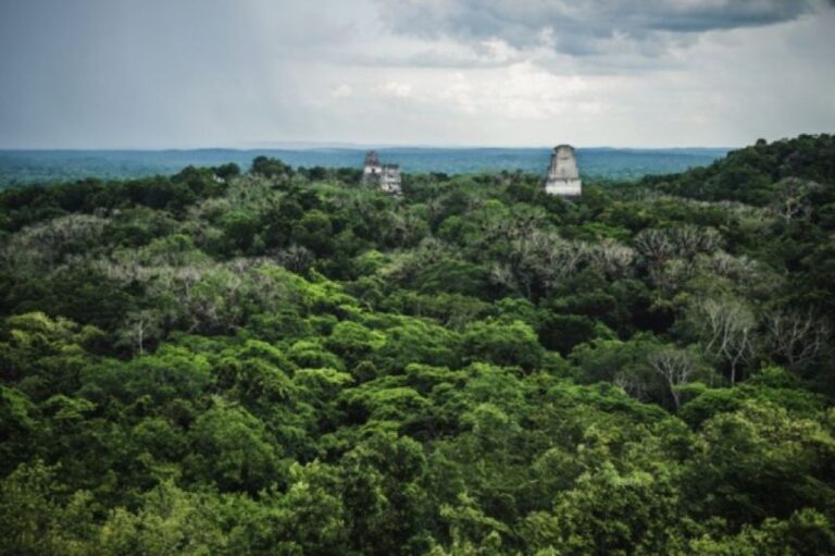 古代マヤ文明の基盤を築いた4000年前の最古の漁業施設を発見