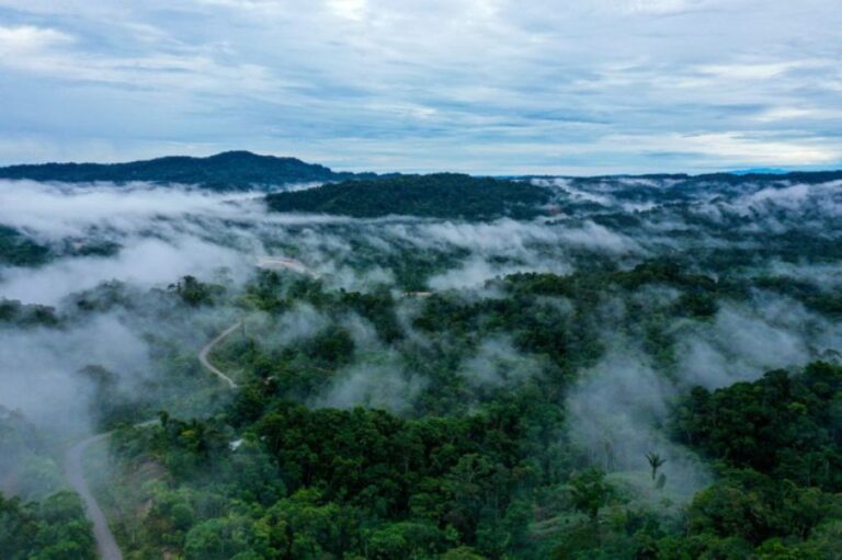 アマゾンの熱帯雨林の驚異。地球規模の雲を作り世界の天候に影響を与えている