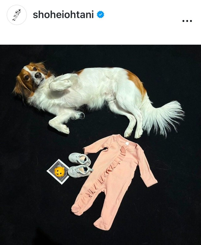 大谷翔平がパパに！真美子夫人の第１子妊娠を公表