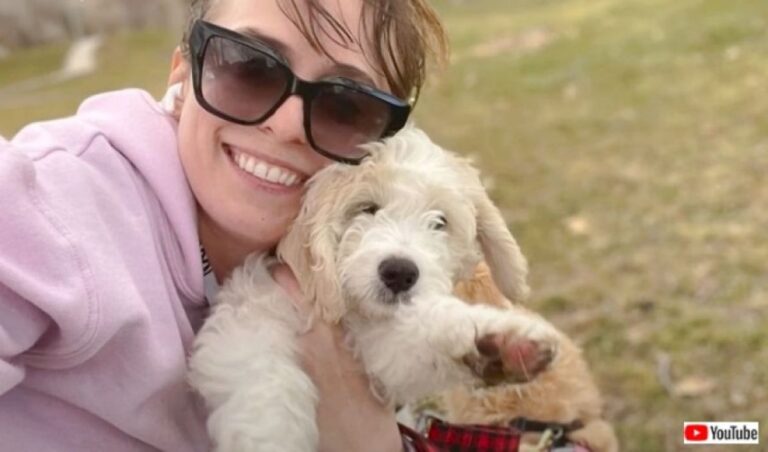 おまわりさん、こいつです！愛犬が飼い主殺害事件の犯人を特定