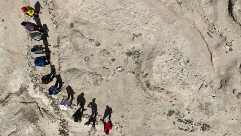 150万年前のアフリカで異なる2種の初期人類が同じ場所で共存していたことが足跡から判明
