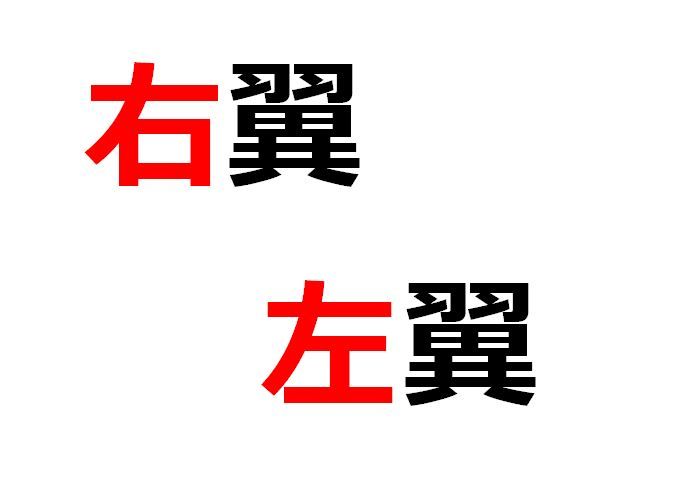 X民「右翼と左翼の違いって、突き詰めれば○○と言えるよね」→様々な意見が集まる