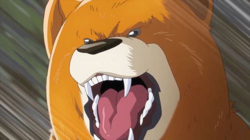 スーパークマ立てこもり事件、「殺されたクマさんがかわいそう」と唱える人らが出てきてしまう・・・