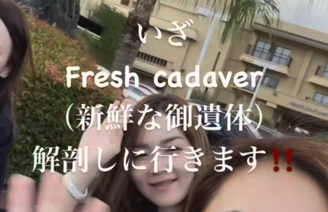【閲覧注意】美容外科医女性「新鮮なご遺体解剖したよ～頭部がたくさん並んでる」ﾊﾟｼｬｯ → インスタに投稿→ 炎上