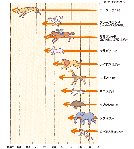 人間「うおおおおお！」→100mを9.6秒 キリン「キリーンｗ」→100mを7.1秒