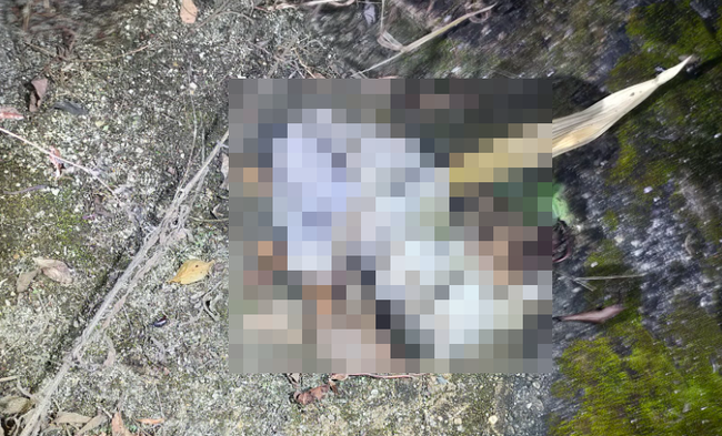 廃墟を探索中の男性「ん？これってもしかして〇〇じゃね？」ﾊﾟｼｬｯ → ヤバすぎる物を発見してネット民騒然・・・